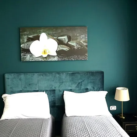 Affittacamere Regolo Vaticano Roma